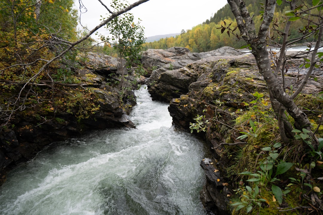 Unconventional Ways to Explore Nature: Outdoor Adventures Beyond the Ordinary Unconventional Ways to Explore Nature: Outdoor Adventures Beyond the Ordinary